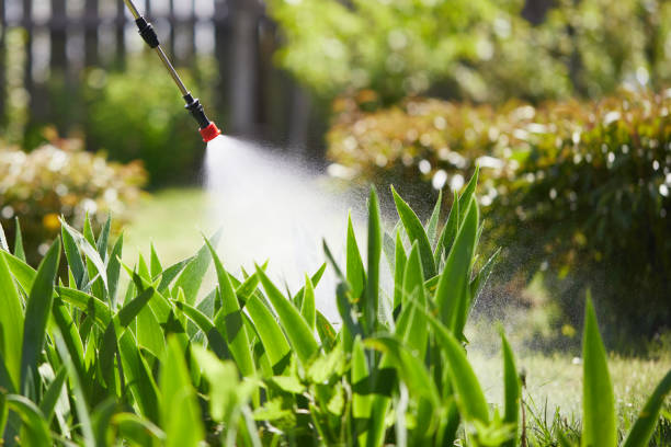 24/7 Emergency Mosquito Control experts in Knox, IN